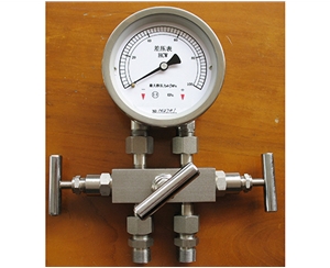 泰州泰州差压表带三阀组